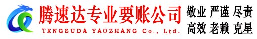 定南腾速达收账公司